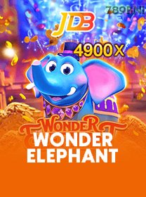 Wonder Elephant